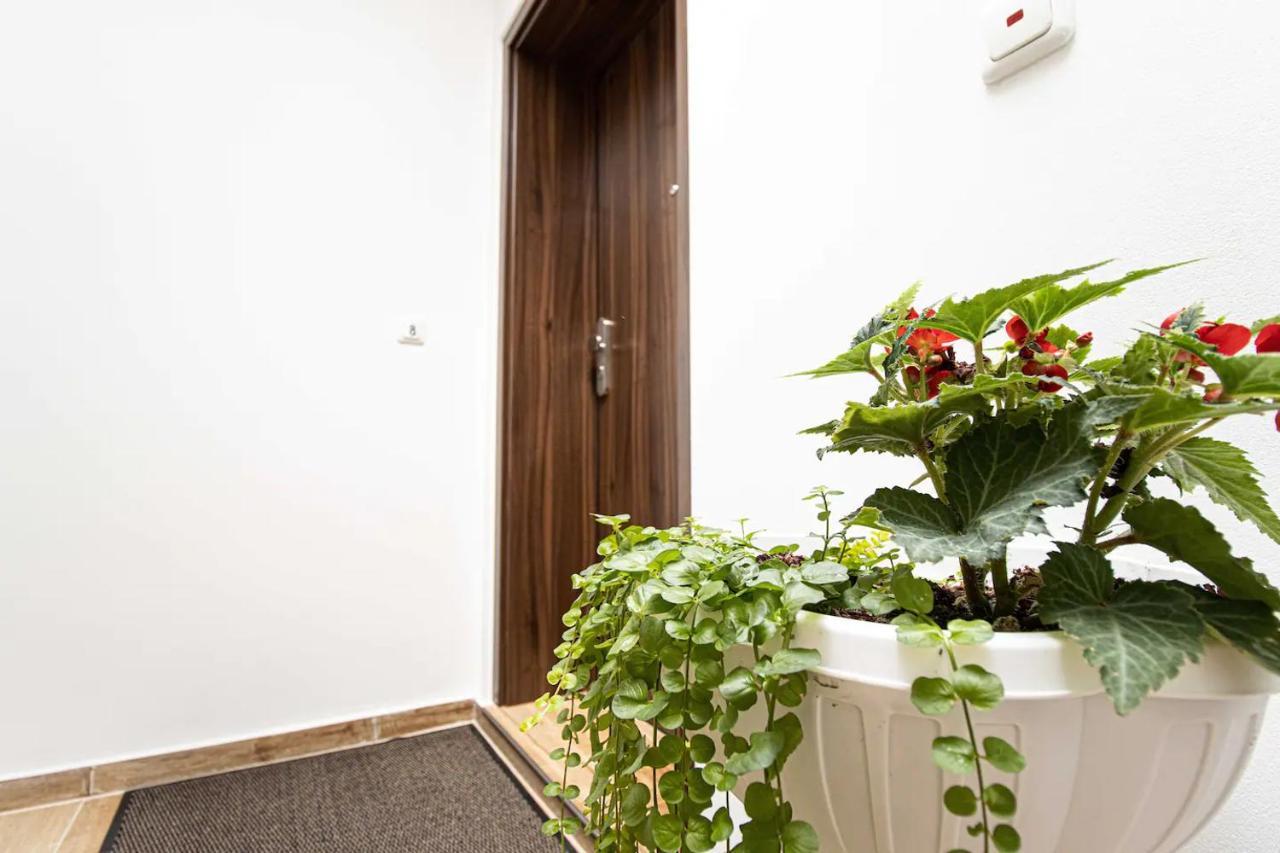468 Plagwitz Apartment Kulturviertel Leipzig Extérieur photo